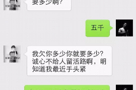 驻马店融资清欠服务